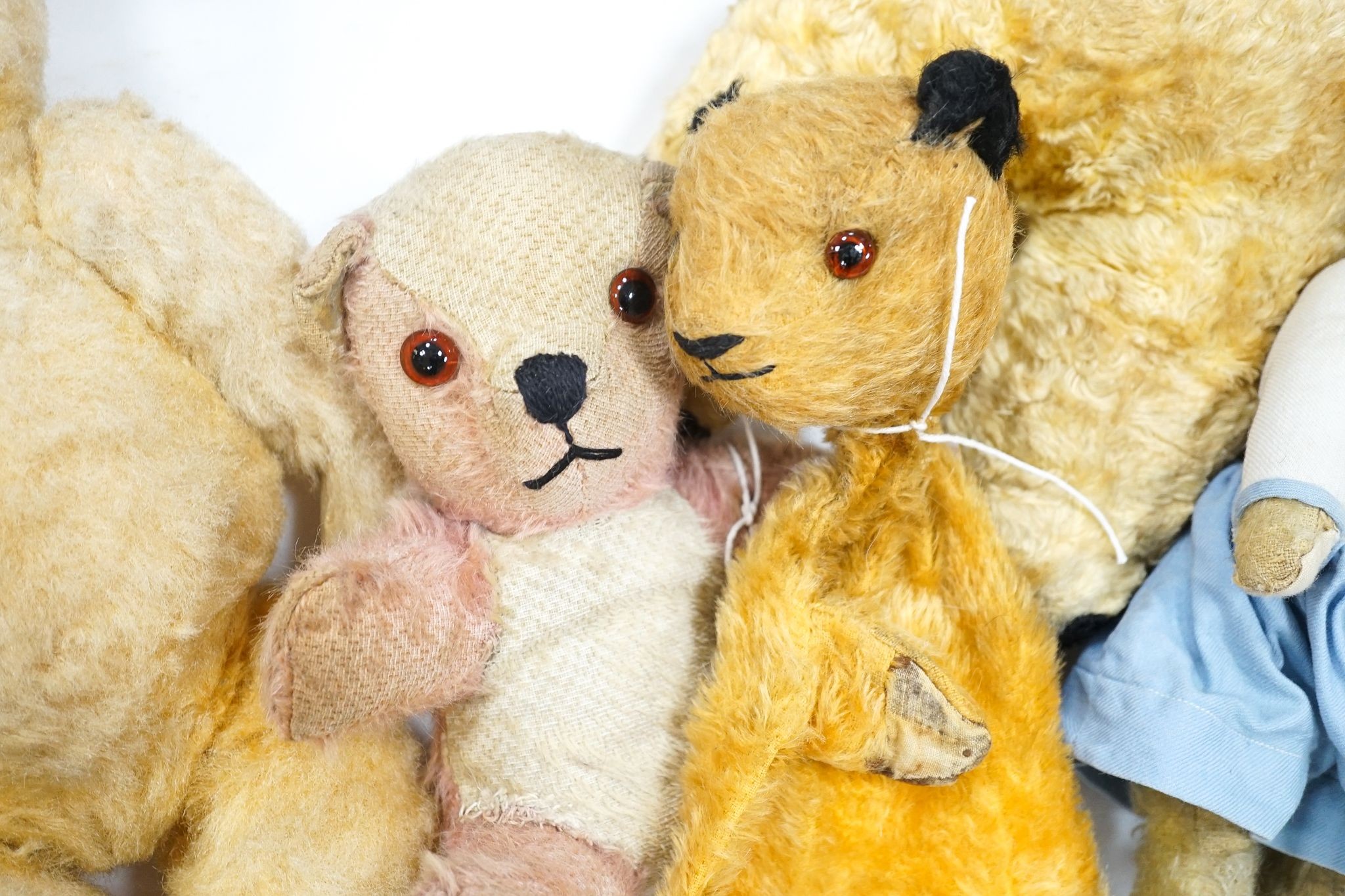 Seven English bears 1950's/60's including Chad Valley with label to Queen Mother, Sooty glove puppet and two Chilterns and a display bench